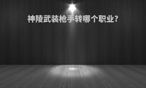 神陵武装枪手转哪个职业?
