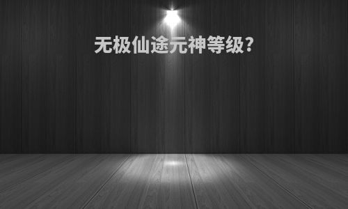 无极仙途元神等级?