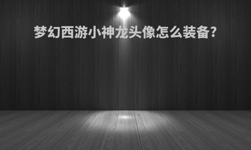 梦幻西游小神龙头像怎么装备?