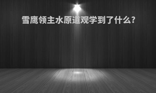 雪鹰领主水原道观学到了什么?