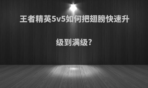 王者精英5v5如何把翅膀快速升级到满级?