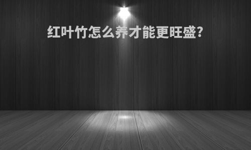红叶竹怎么养才能更旺盛?