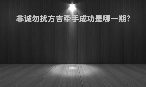 非诚勿扰方吉牵手成功是哪一期?