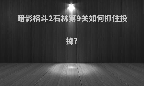 暗影格斗2石林第9关如何抓住投掷?