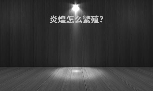 炎煌怎么繁殖?