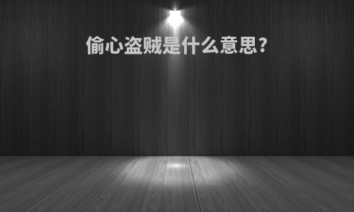 偷心盗贼是什么意思?