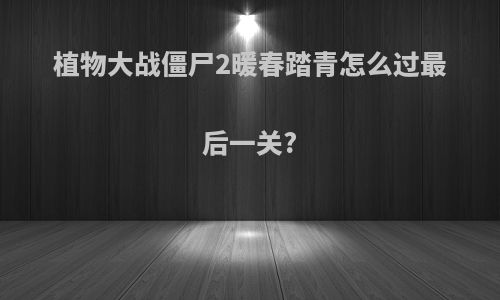 植物大战僵尸2暖春踏青怎么过最后一关?