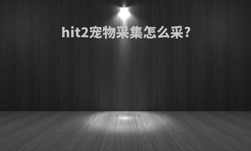 hit2宠物采集怎么采?