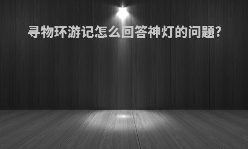 寻物环游记怎么回答神灯的问题?