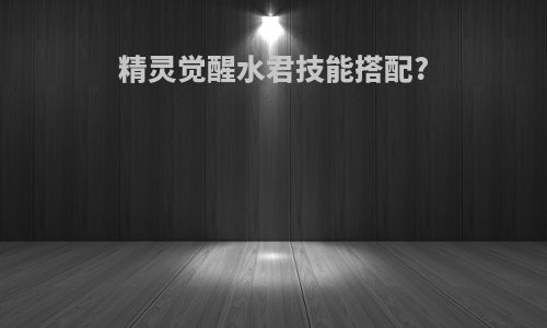 精灵觉醒水君技能搭配?