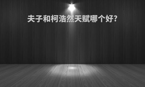 夫子和柯浩然天赋哪个好?