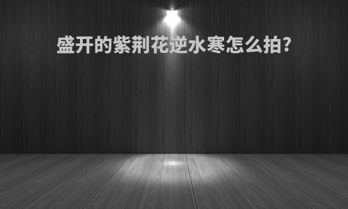 盛开的紫荆花逆水寒怎么拍?