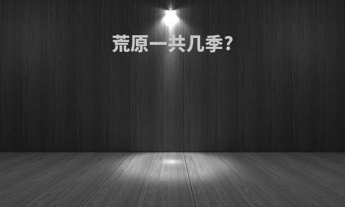 荒原一共几季?