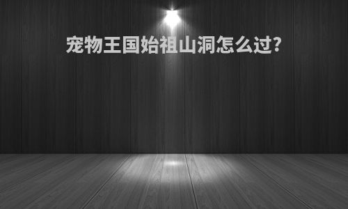 宠物王国始祖山洞怎么过?