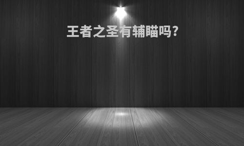 王者之圣有辅瞄吗?