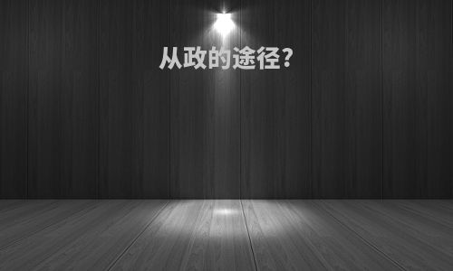 从政的途径?
