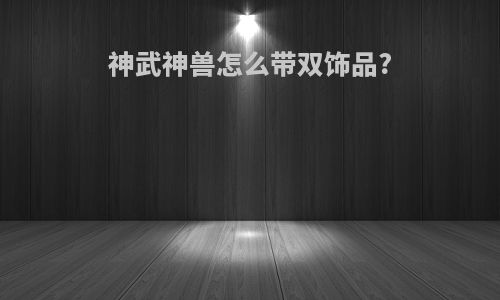 神武神兽怎么带双饰品?