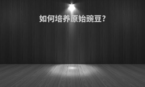 如何培养原始豌豆?