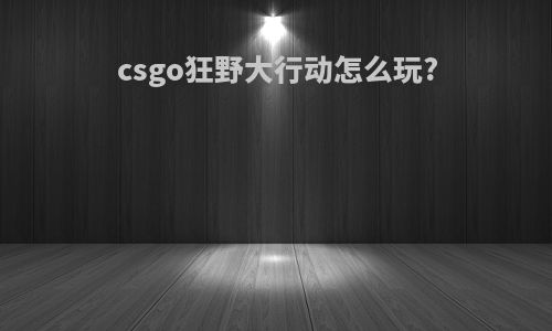 csgo狂野大行动怎么玩?