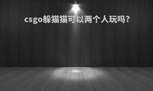csgo躲猫猫可以两个人玩吗?