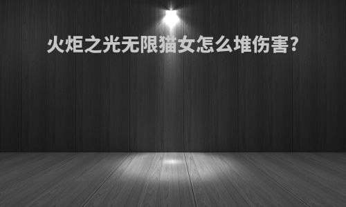 火炬之光无限猫女怎么堆伤害?