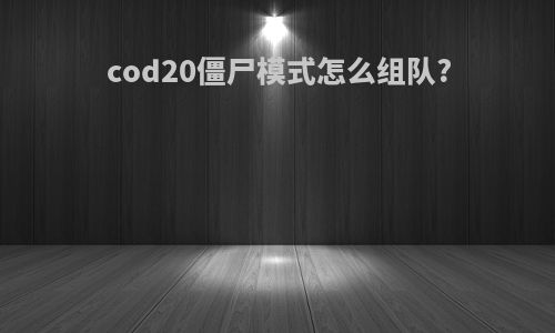 cod20僵尸模式怎么组队?