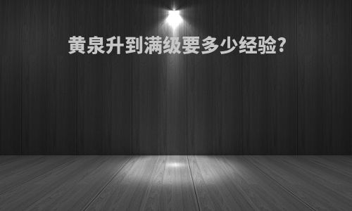 黄泉升到满级要多少经验?