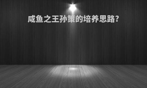 咸鱼之王孙策的培养思路?