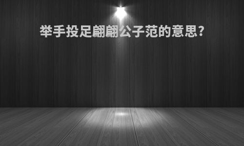 举手投足翩翩公子范的意思?