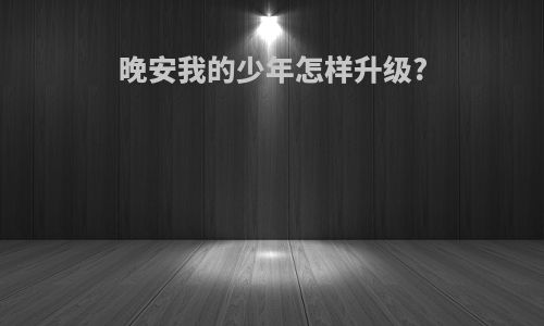 晚安我的少年怎样升级?