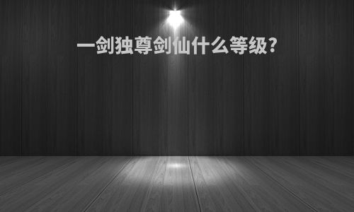 一剑独尊剑仙什么等级?