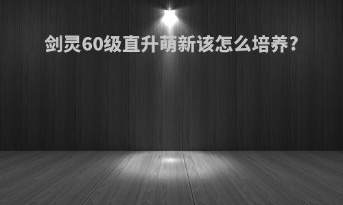 剑灵60级直升萌新该怎么培养?