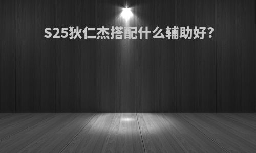 S25狄仁杰搭配什么辅助好?