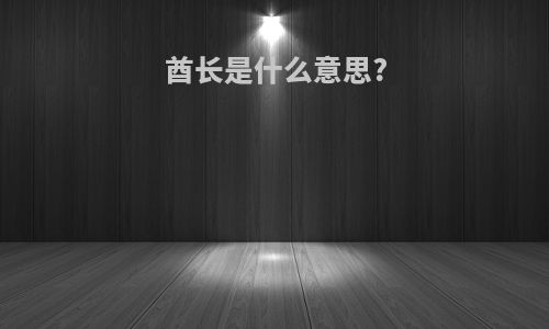 酋长是什么意思?
