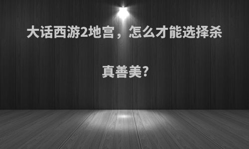 大话西游2地宫，怎么才能选择杀真善美?