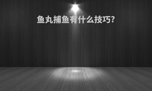 鱼丸捕鱼有什么技巧?