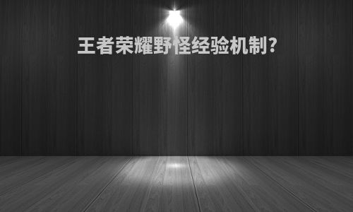 王者荣耀野怪经验机制?
