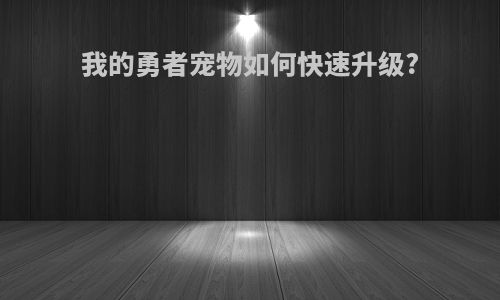 我的勇者宠物如何快速升级?