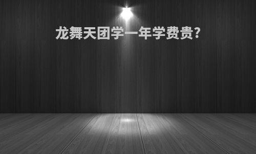 龙舞天团学一年学费贵?