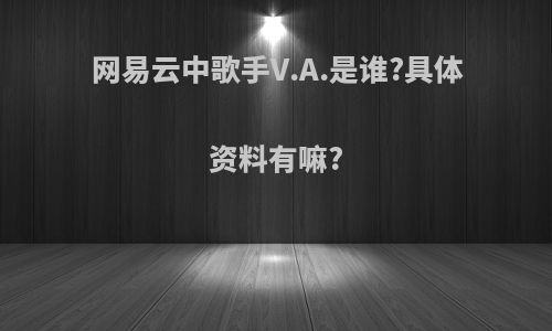 网易云中歌手V.A.是谁?具体资料有嘛?