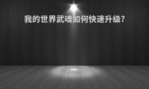 我的世界武魂如何快速升级?