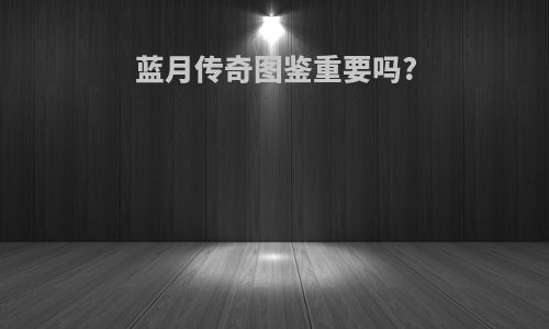 蓝月传奇图鉴重要吗?