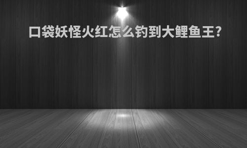 口袋妖怪火红怎么钓到大鲤鱼王?