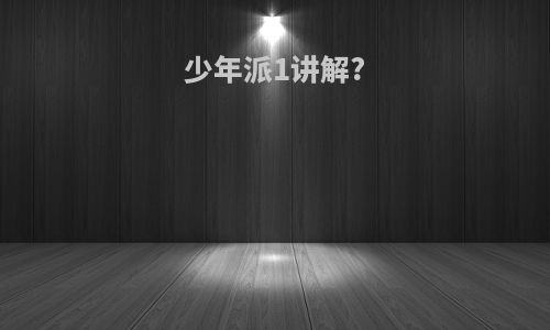少年派1讲解?