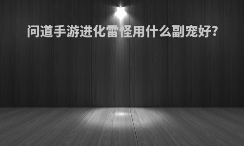 问道手游进化雷怪用什么副宠好?