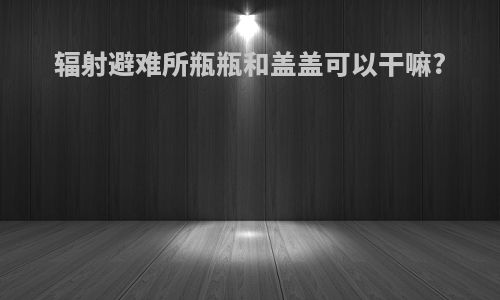 辐射避难所瓶瓶和盖盖可以干嘛?