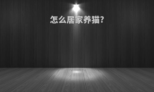 怎么居家养猫?