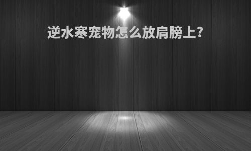 逆水寒宠物怎么放肩膀上?