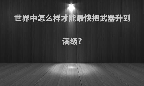 世界中怎么样才能最快把武器升到满级?