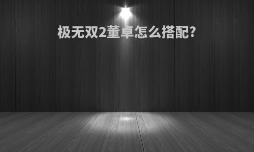 极无双2董卓怎么搭配?